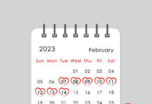 Valentine Week 2026: Full List of Days, Meaning, and Celebration Ideas